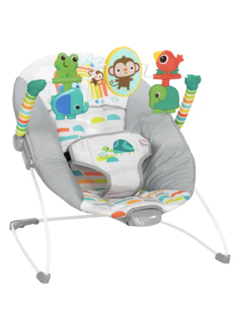 Baby Bouncer