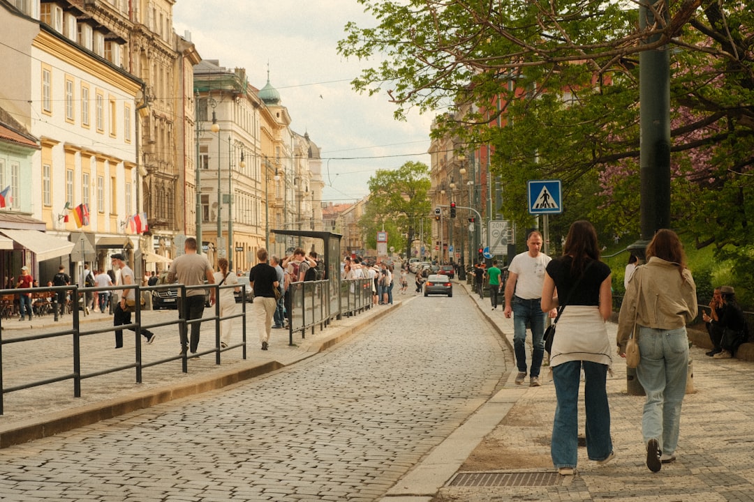 Joggers or Regular Strollers Which Makes Cobblestone Streets in Puerto Vallarta Stress-Free for Parents