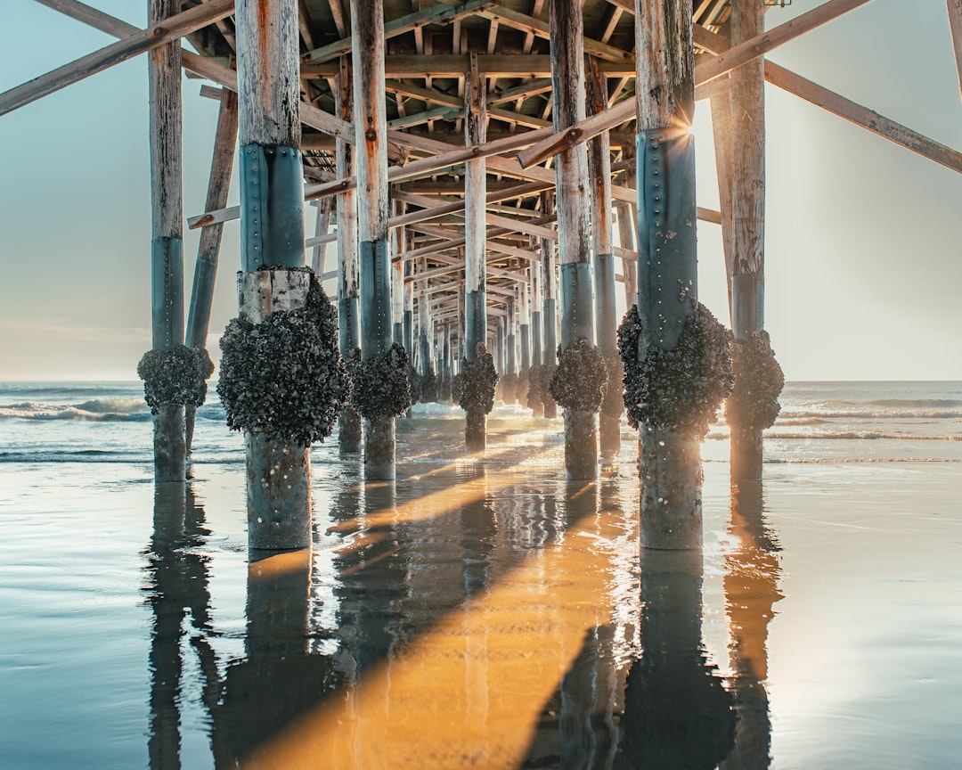 Make Family Strolls Stress-Free with Kids Along Puerto Vallarta’s Malecon