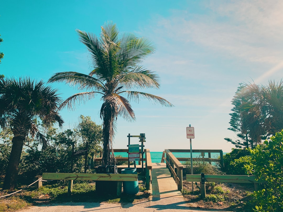 Stress-Free Family Adventures in Nuevo Vallarta and Flamingos: A Parent’s Ultimate Travel Guide